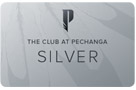 Silver Card