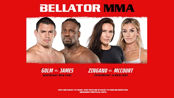 Bellator MMA 293