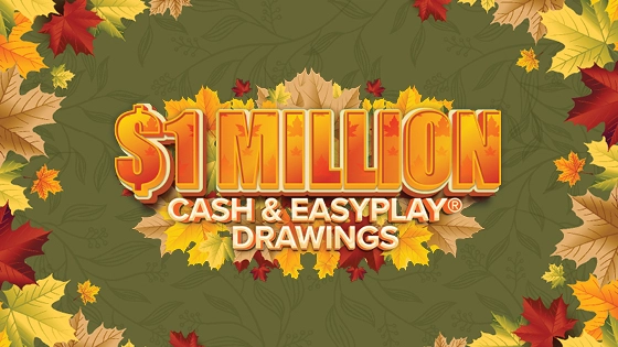 Holiday November $1 Million
