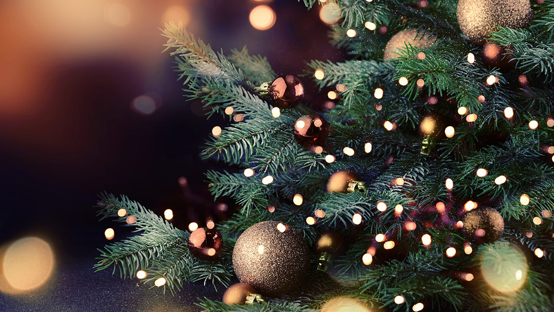 christmas tree close-up